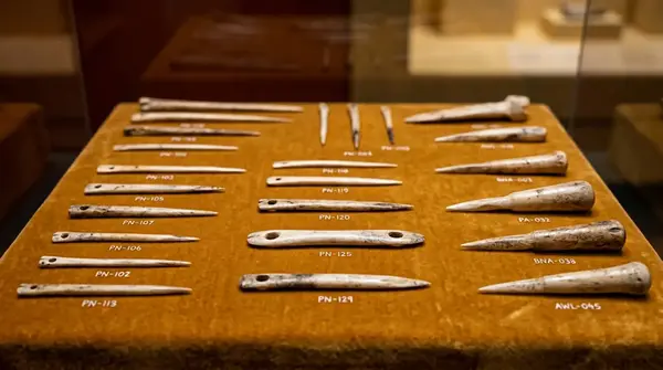 Bone Needles: How Prehistoric Sewing Tools Changed History