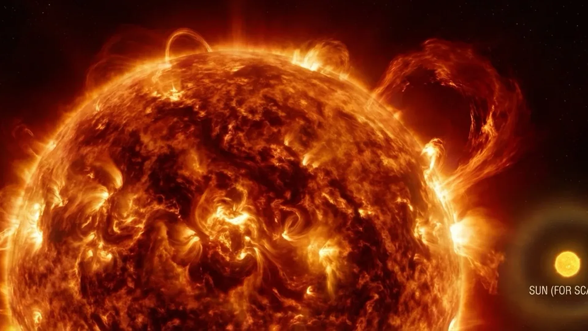 VY Canis Majoris red hypergiant star compared to our solar system showing its massive scale