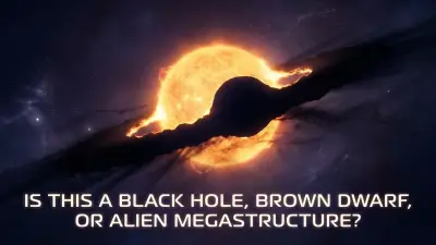 When a Star Vanishes: Tidal Disruption by a Black Hole