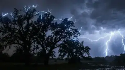 Corona Effect: Why Trees Spark During Thunderstorms