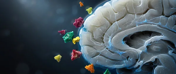 Microplastics in Brain Linked to Alzheimer's and Dementia