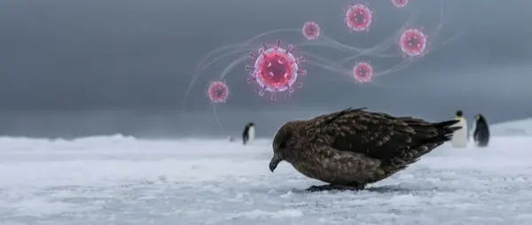 H5N1 Struck Antarctic Wildlife for the First Time