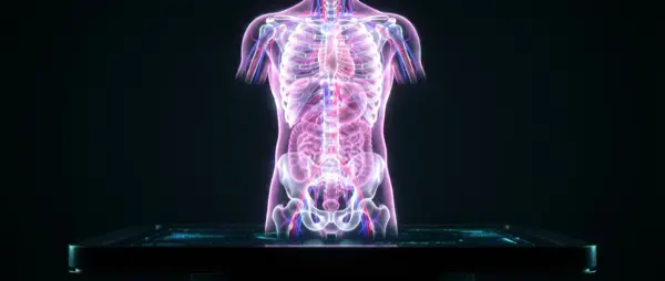 New Scan Shows the Human Body in 3D and Color