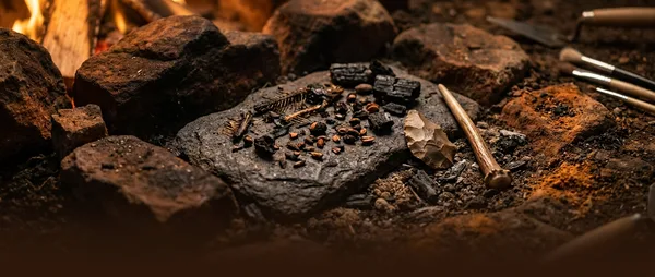 Europe's Stone Age Chefs: Complex Cooking 8,000 Years Ago