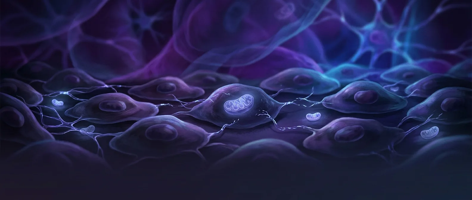 Brain cells with mitochondria showing energy disruption patterns linked to depression